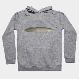 Pirarucu Hoodie